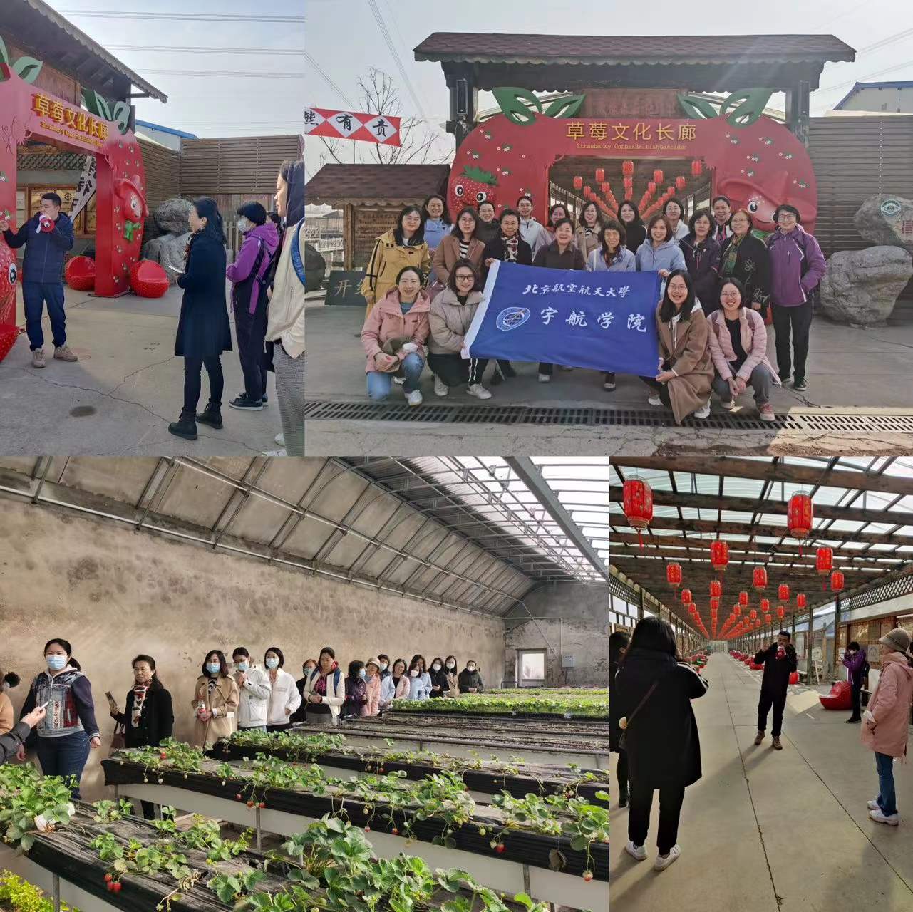 FB体育·(中国)官方网站 - APP下载