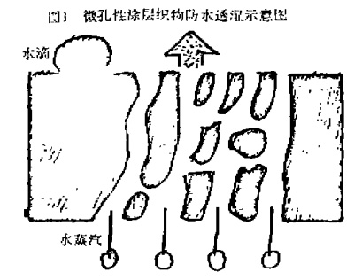 豪门国际官网-追求康健,你我一起生长