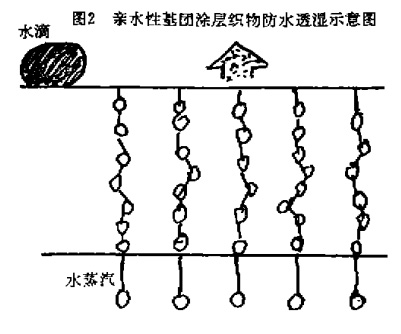豪门国际官网-追求康健,你我一起生长